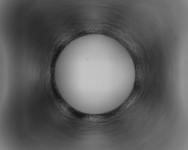 X0000088180758200705150939