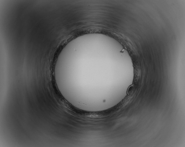 X0000088180759200705150939