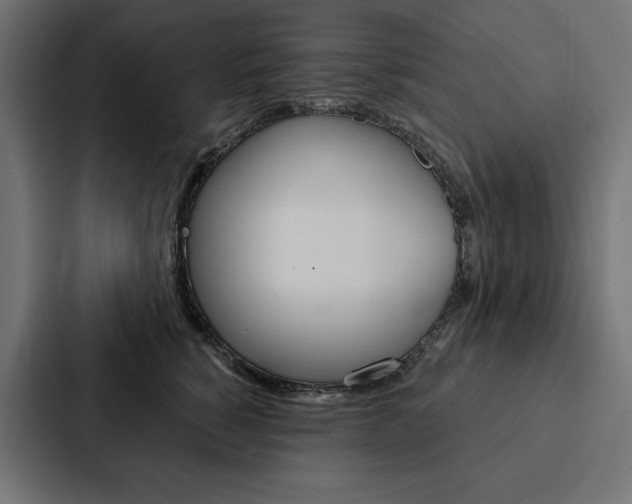 X0000088180760200705150939