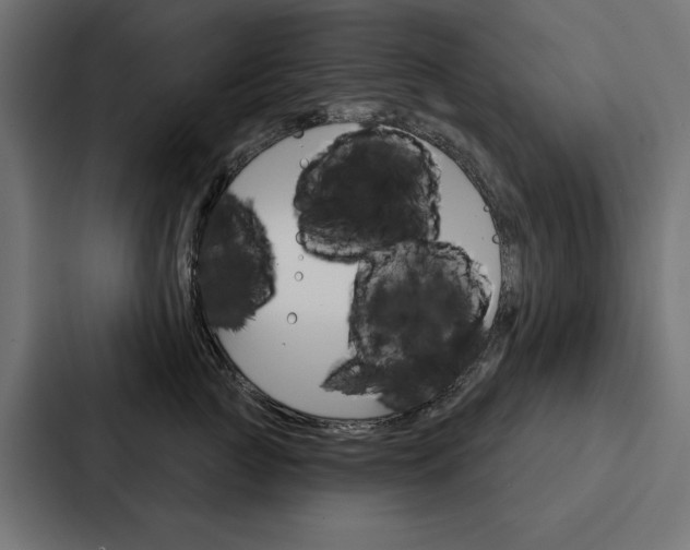X0000088180761200705150939