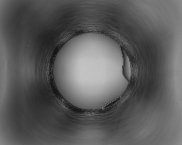 X0000088180764200705150939