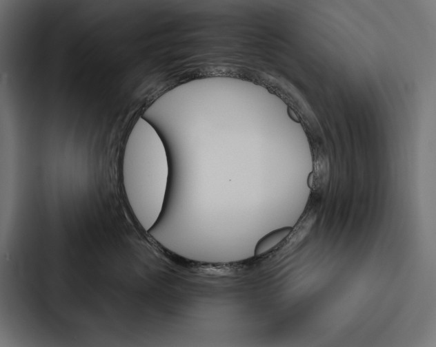 X0000088180765200705150939