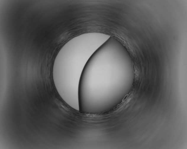 X0000088180766200705150939