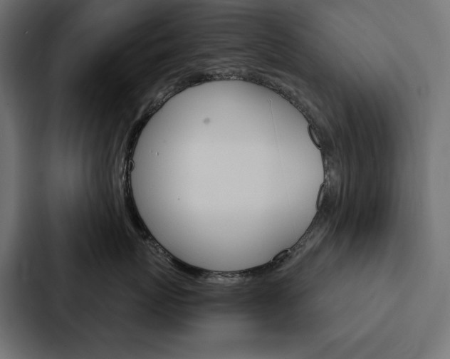 X0000088180767200705150939