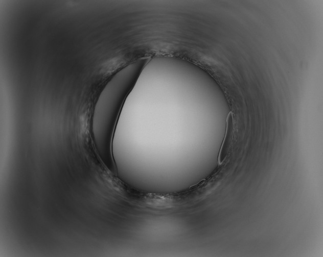 X0000088180768200705150939