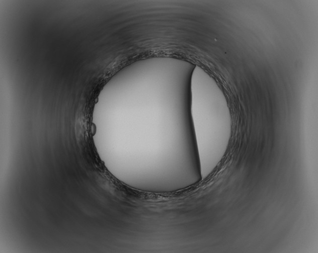 X0000088180772200705150939