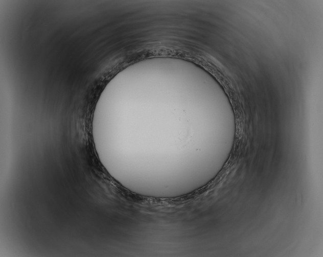 X0000088180774200705150939