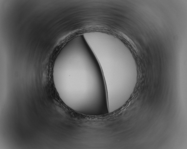 X0000088180775200705150939