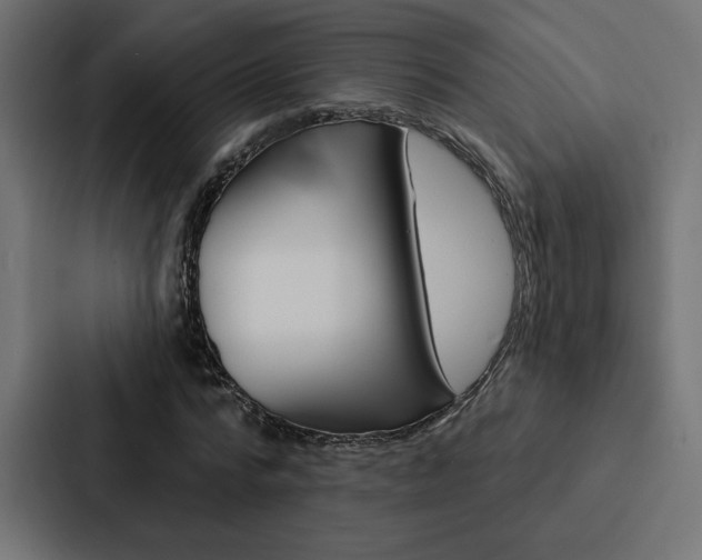 X0000088180776200705150938