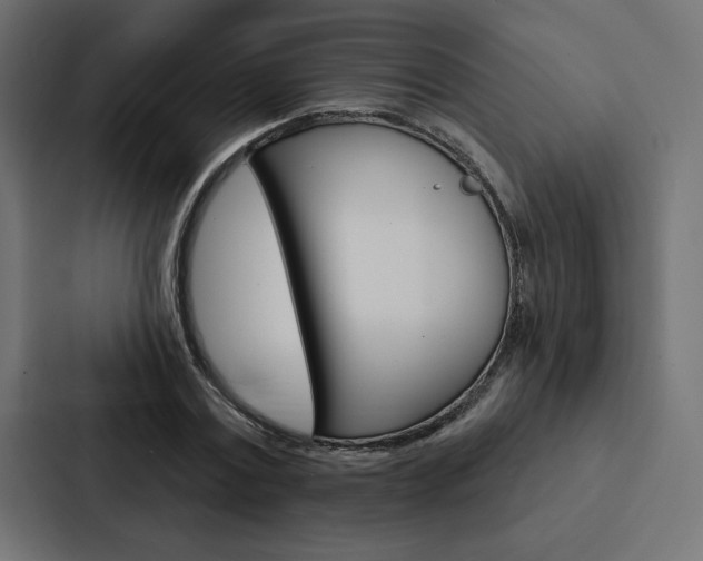 X0000088180779200705150938