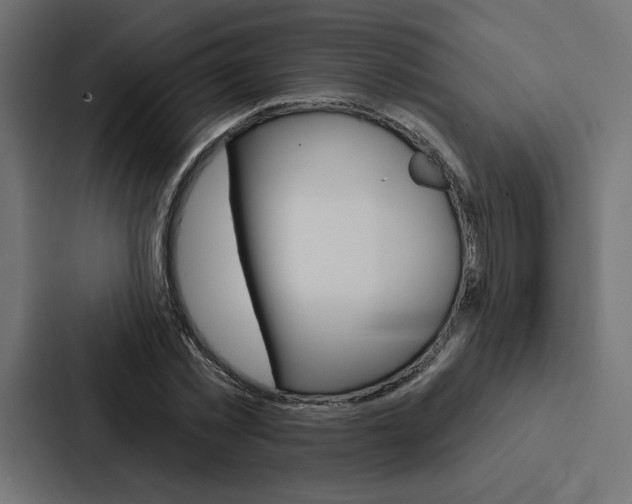 X0000088180781200705150938