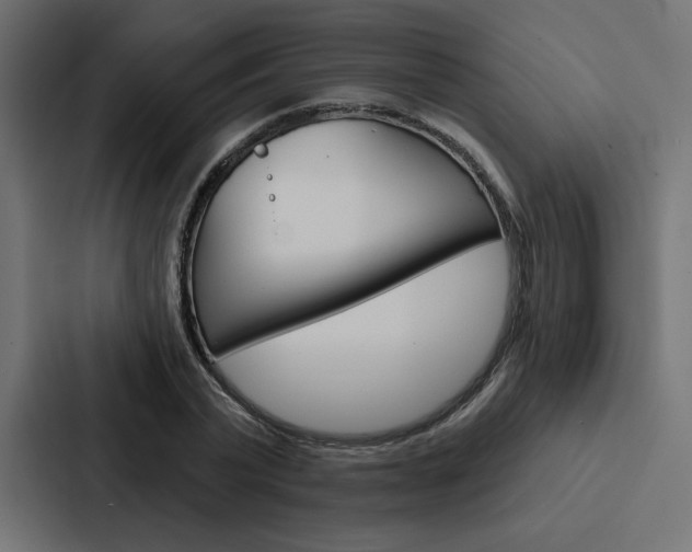 X0000088180783200705150938