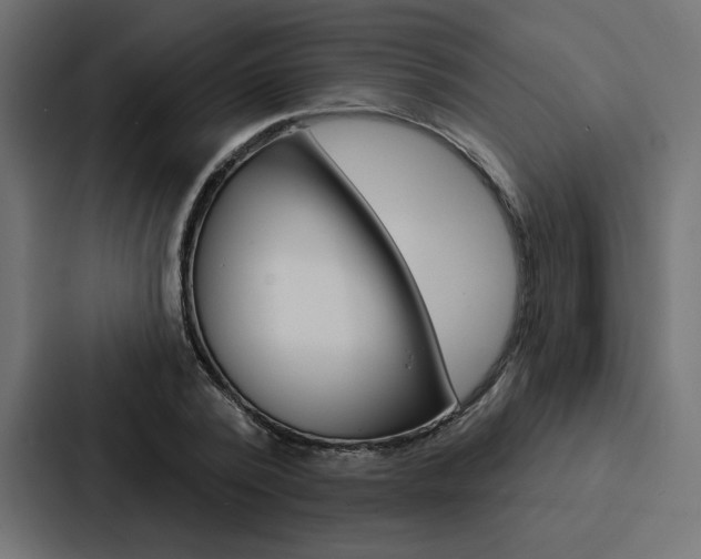 X0000088180784200705150938