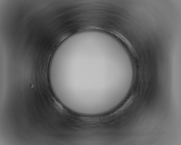 X0000088180785200705150938