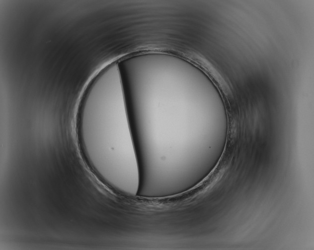 X0000088180787200705150938