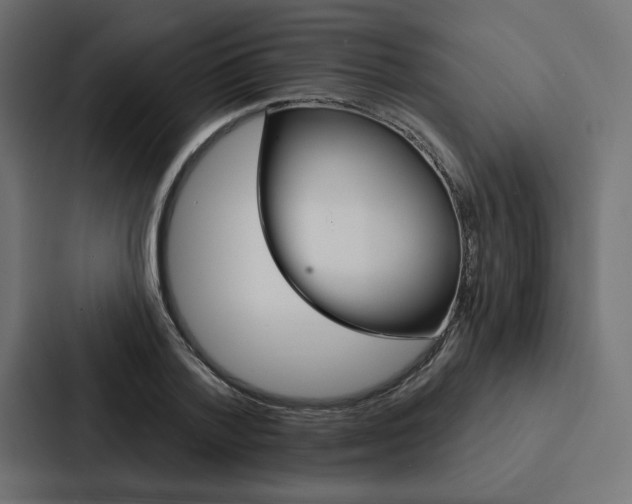 X0000088180788200705150938