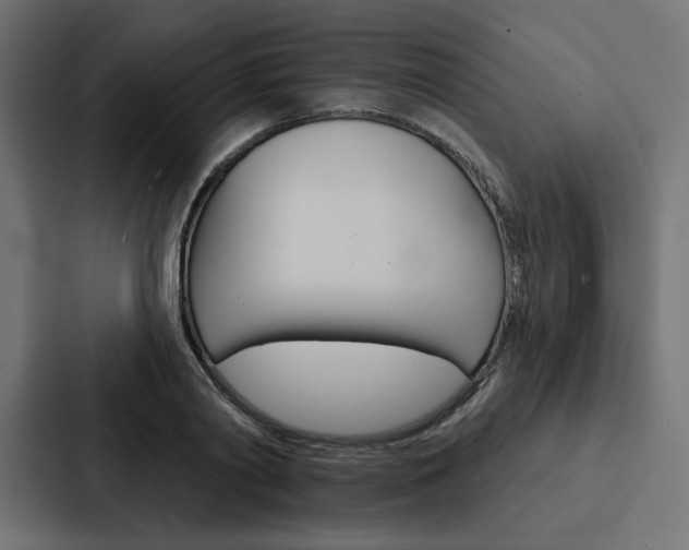 X0000088180790200705150938