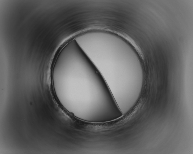 X0000088180791200705150938