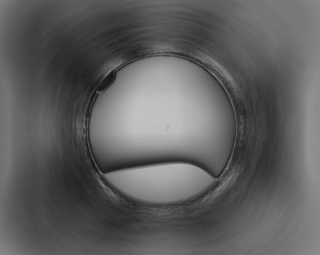 X0000088180793200705150938