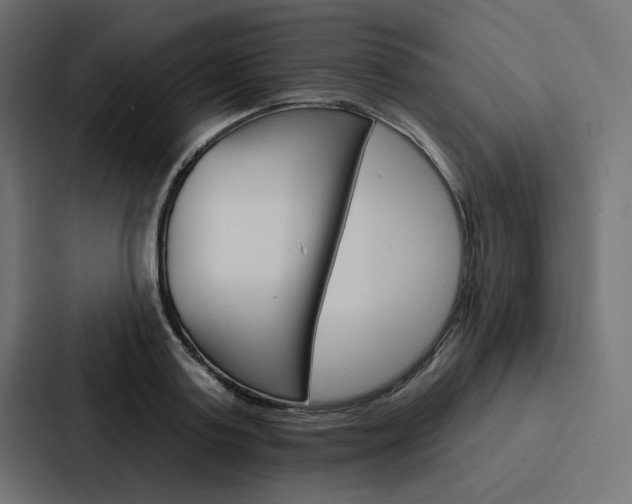 X0000088180795200705150938