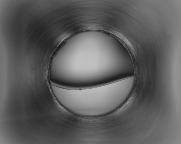 X0000088180801200705150938