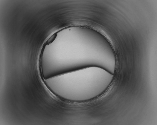 X0000088180803200705150938