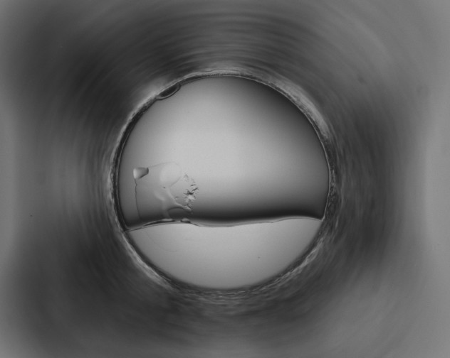 X0000088180805200705150938