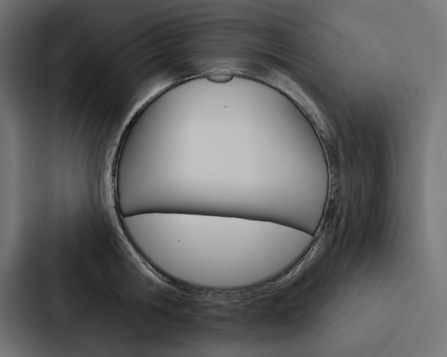 X0000088180806200705150938