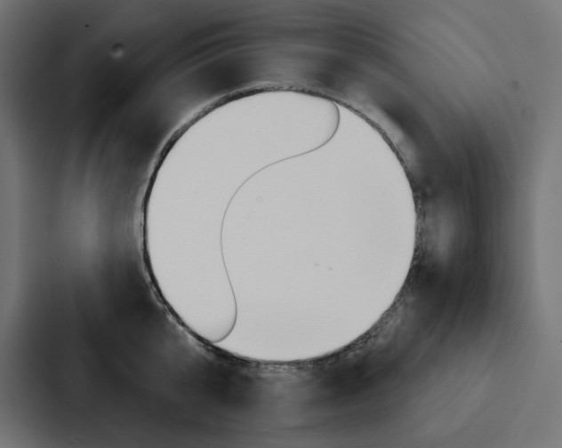 X0000088180807200705150938