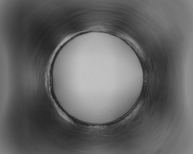 X0000088180808200705150938