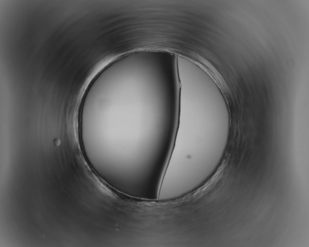 X0000088180812200705150938