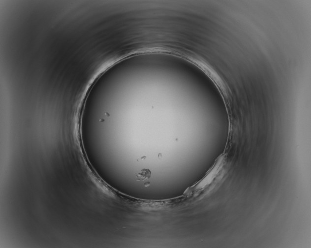 X0000088180813200705150938