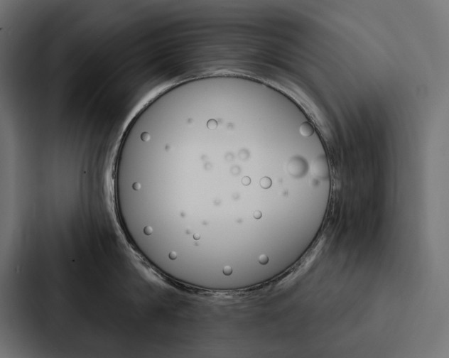 X0000088180814200705150938