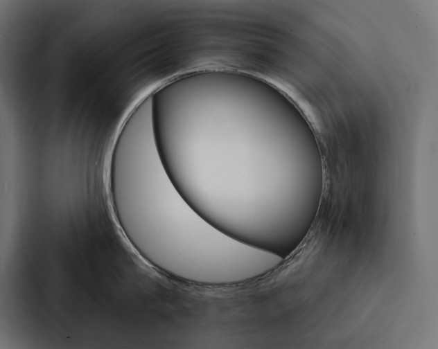 X0000088180815200705150938