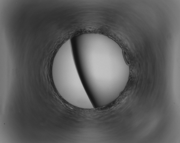 X0000088180817200705150937