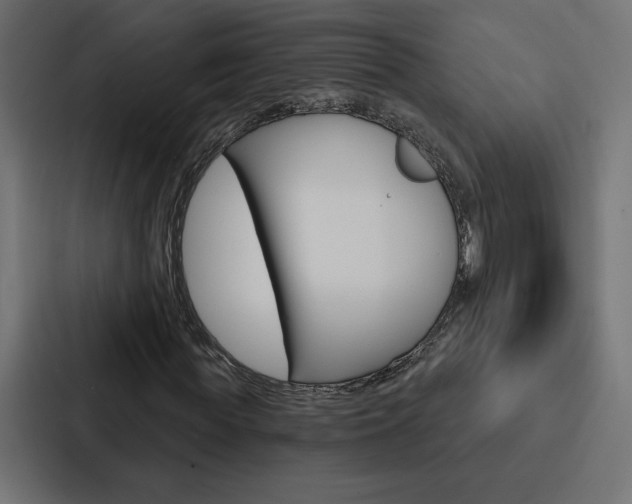 X0000088180819200705150937