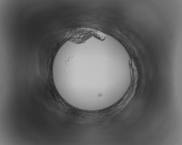 X0000088180820200705150937