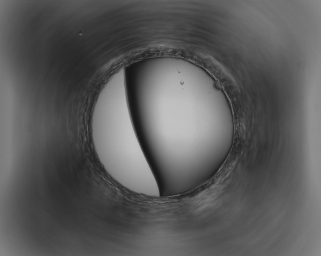 X0000088180821200705150937