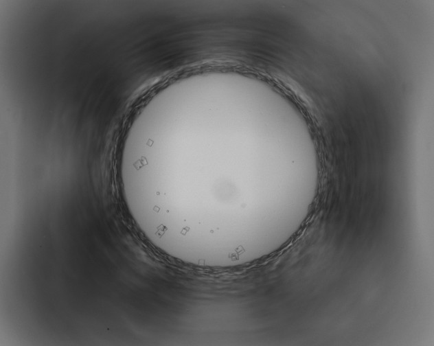 X0000088180824200705150937