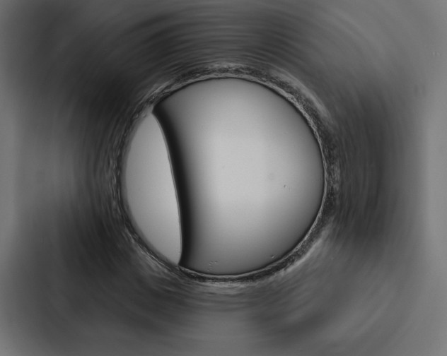 X0000088180825200705150937