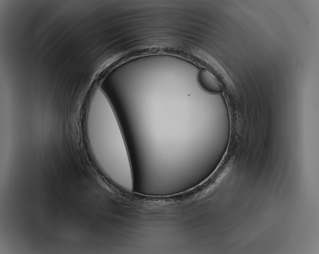 X0000088180826200705150937