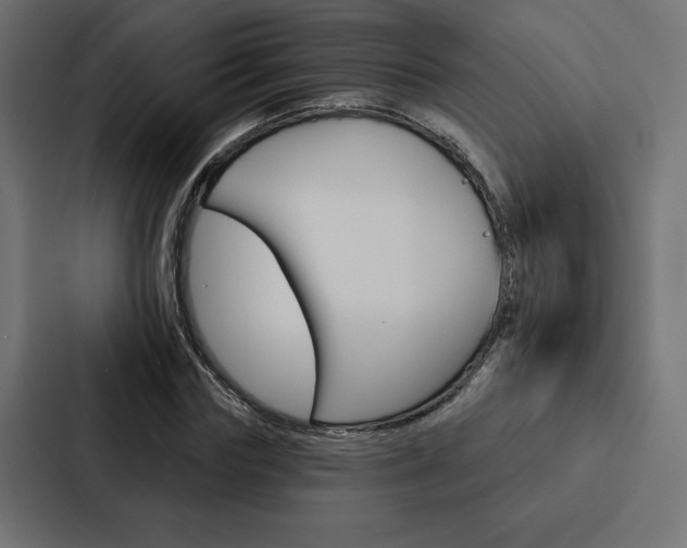 X0000088180827200705150937