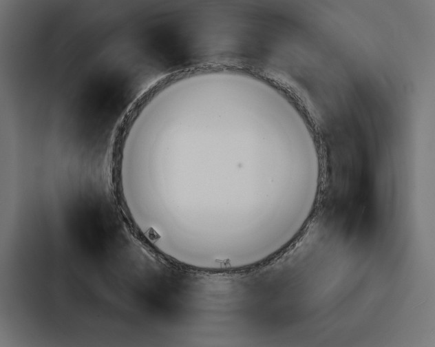 X0000088180828200705150937