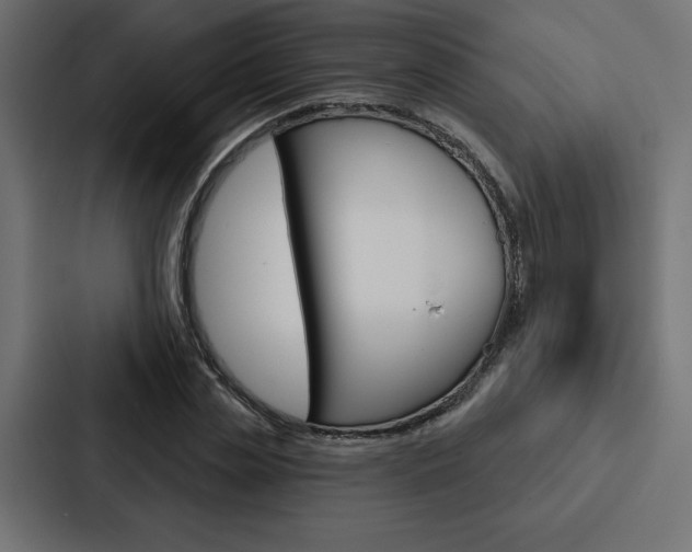 X0000088180829200705150938