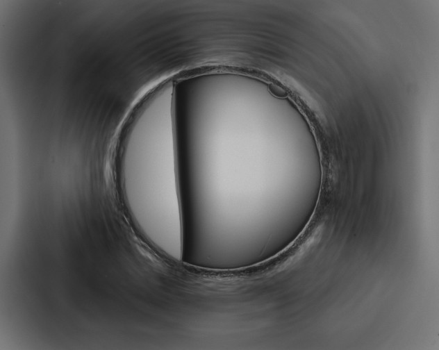 X0000088180830200705150938