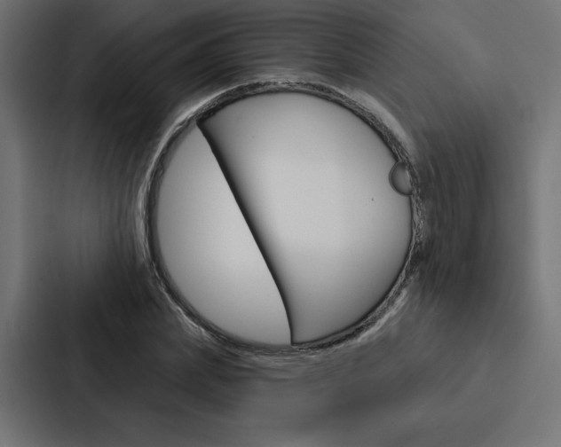 X0000088180831200705150938