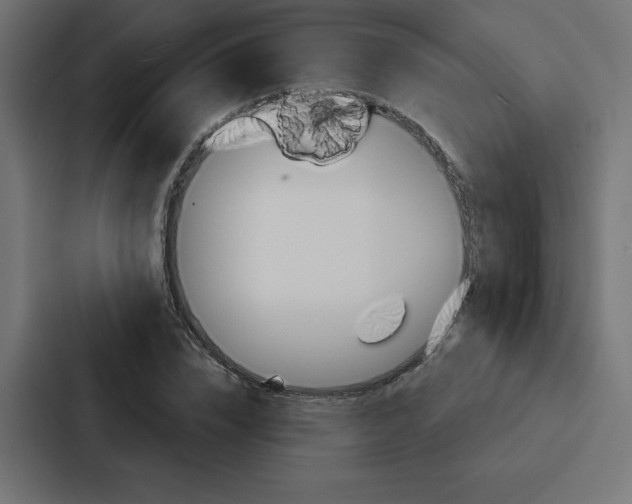 X0000088180832200705150938