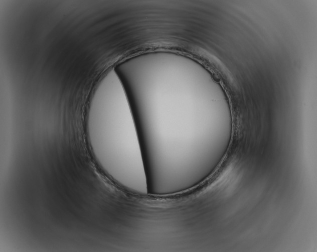 X0000088180833200705150938
