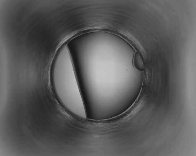 X0000088180834200705150938