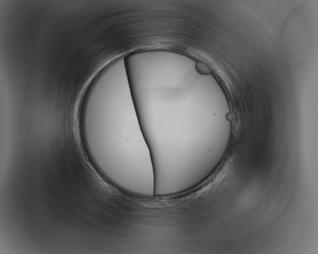 X0000088180835200705150938